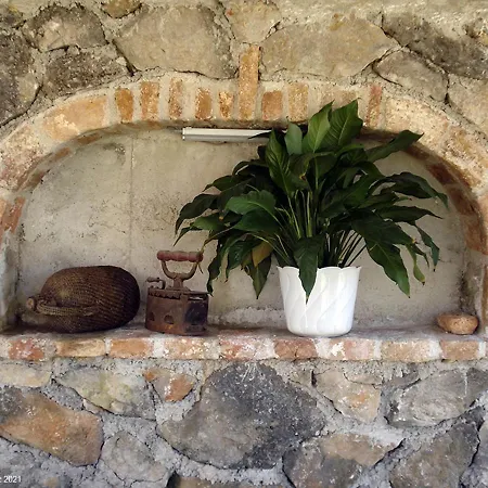 Apartament Zec *